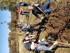 Volunteers planting trees at Prairie Moraine County Park